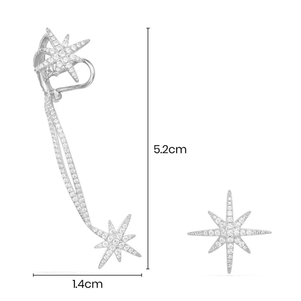 APM Asymmetric Double Météorites Earring